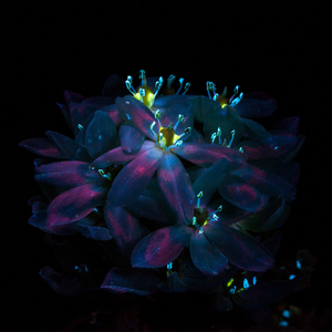 和丝袜老师啪啪啪
